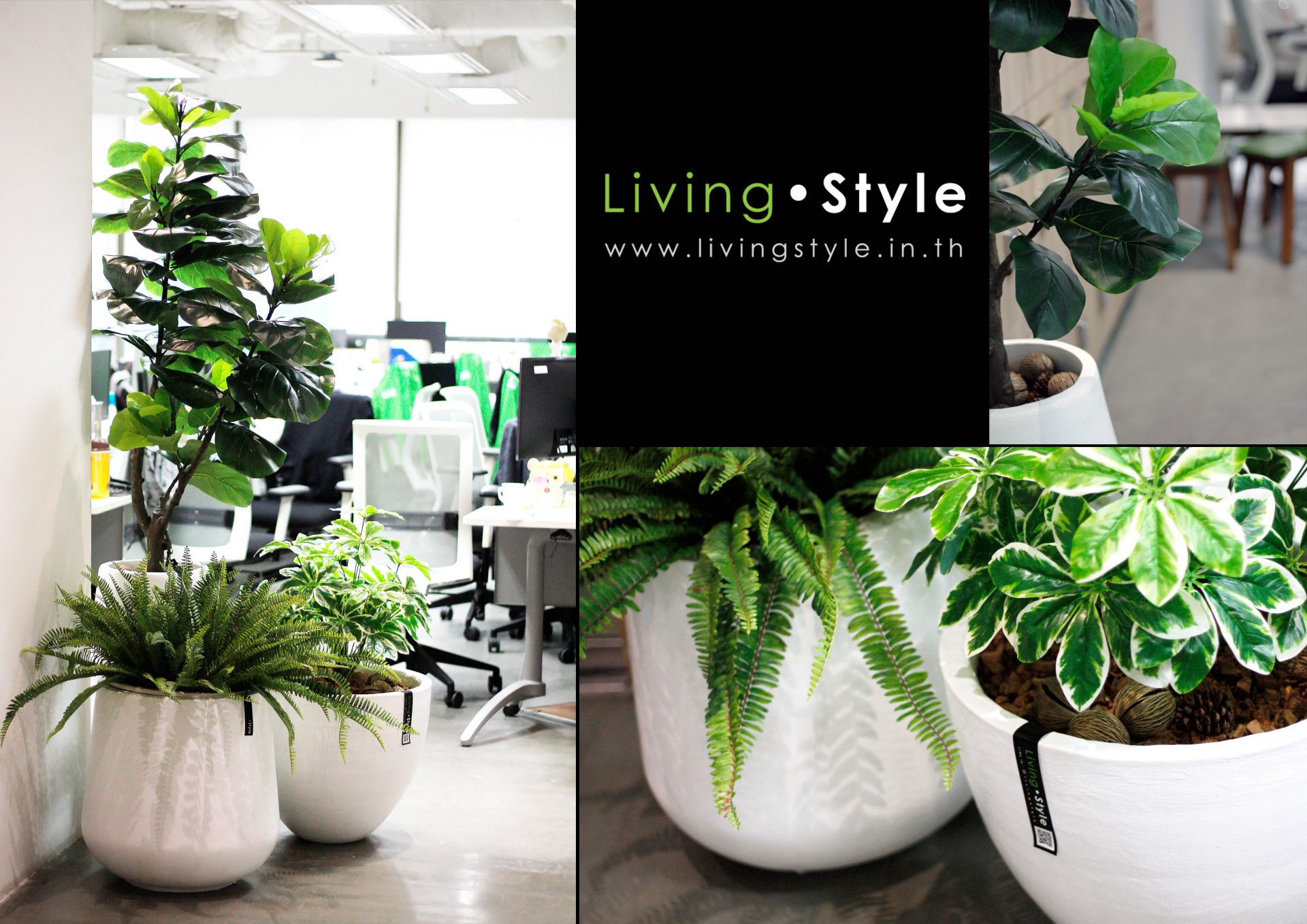 Livingstyle 016 catalog