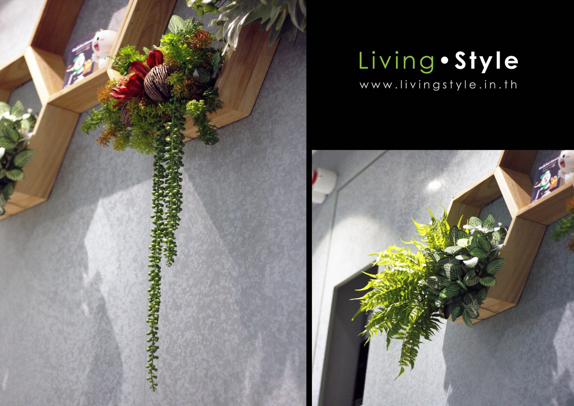 Livingstyle 018-1 catalog