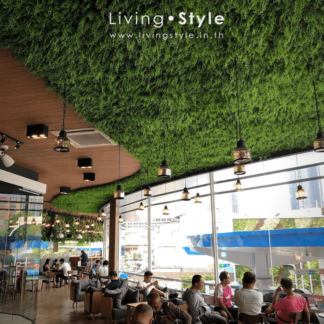 แต่งร้านอเมซอน สวนฝ้า ต้นไม้ประดิษฐ์ สวนแนวตั้ง%%sep%% Livingstyle แจกันดอกไม้ ดอกไม้ปลอม ต้นไม้ปลอม ต้นไม้ประดิษฐ์ สวนแนวตั้ง สวนหย่อม จัดสวน