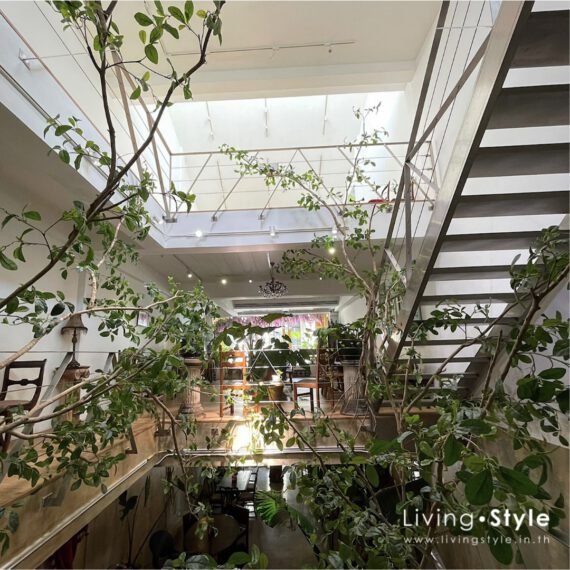 ตกแต่งร้าน ต้นไม้ปลอม โถงบันได สไตล์วินเทจ ย้อนยุค %%sep%% Livingstyle แจกันดอกไม้ ดอกไม้ปลอม ต้นไม้ปลอม ต้นไม้ประดิษฐ์ สวนแนวตั้ง สวนหย่อม จัดสวน