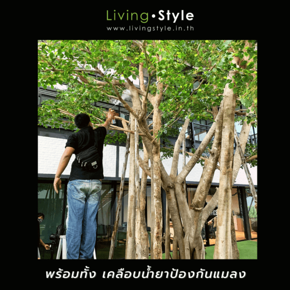 แต่งออฟฟิศ คืนชีพ!!! ต้นไม้ตาย ตกแต่งต้นไม้%%sep%% Livingstyle แจกันดอกไม้ ดอกไม้ปลอม ต้นไม้ปลอม ต้นไม้ประดิษฐ์ สวนแนวตั้ง สวนหย่อม จัดสวน