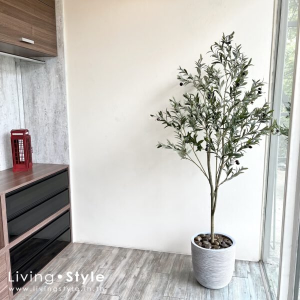 ต้นโอลีฟ ต้นไม้ประดิษฐ์ ตกแต่งบ้าน %%sep%% ตกแต่งบ้าน Livingstyle ดอกไม้ปลอม ต้นไม้ปลอม ดอกไม้ประดิษฐ์ ต้นไม้ประดิษฐ์ ตกแต่งบ้าน